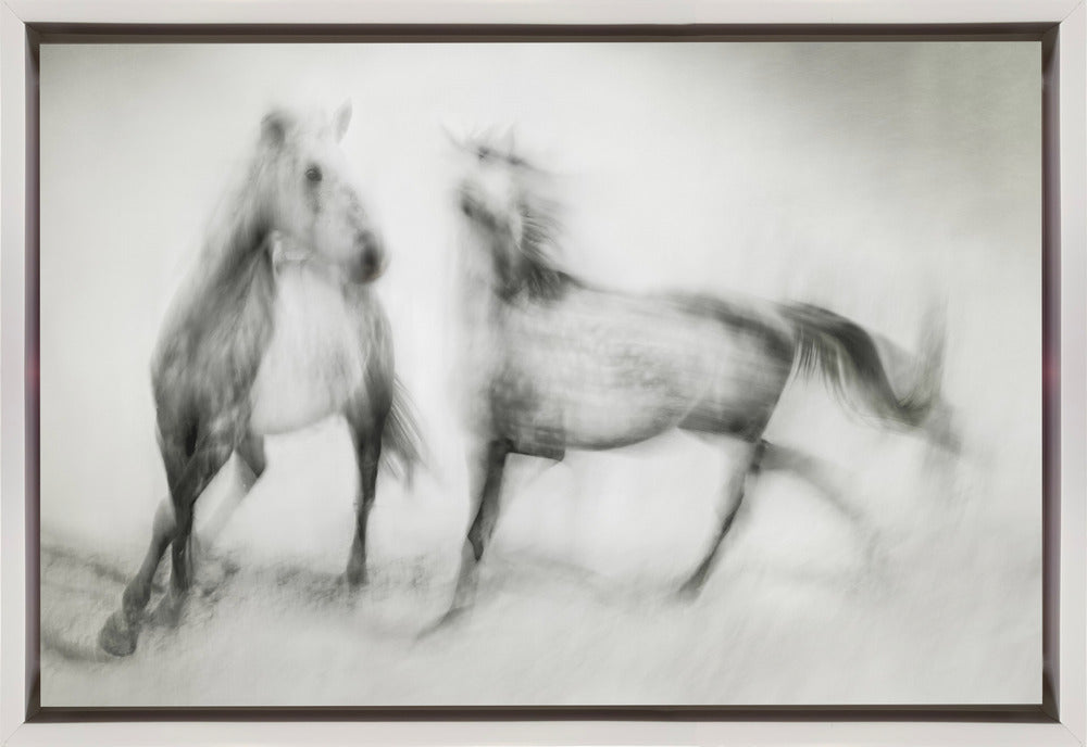 Wall art Shivers