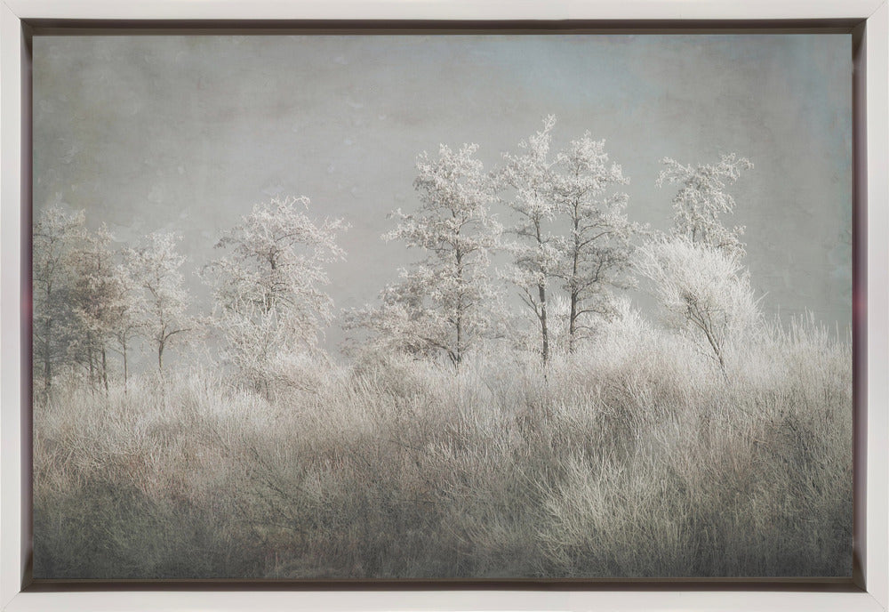 Wall art Cold morning