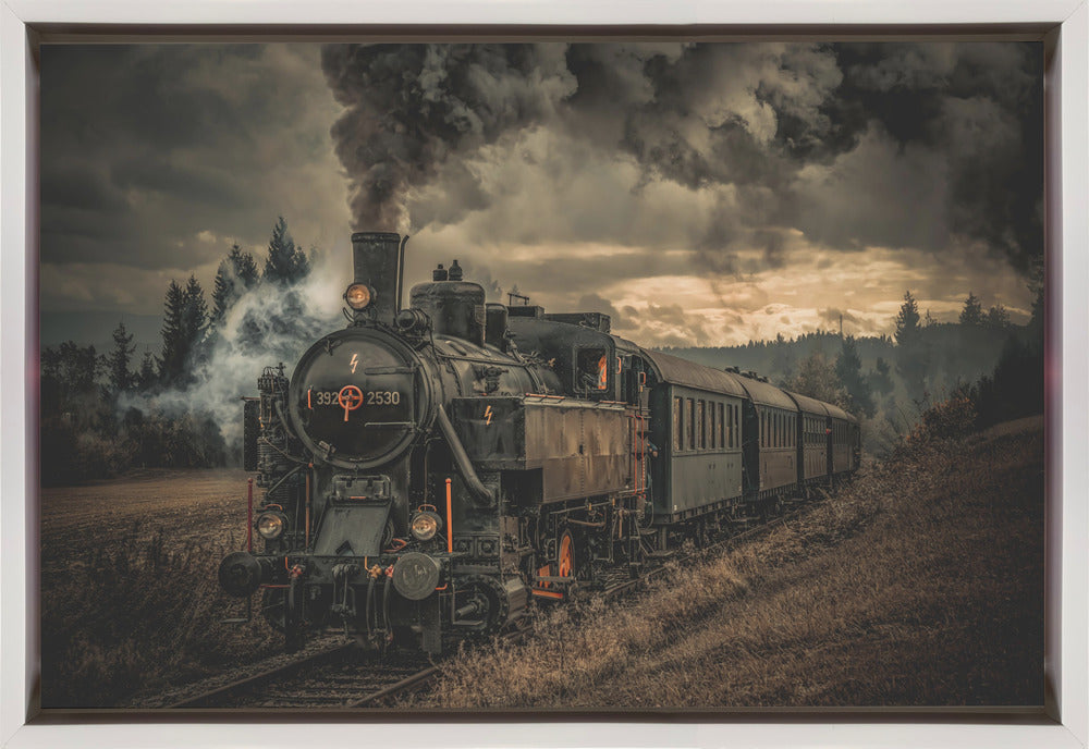 Gold digger train Wall Artwork In Black Floating Frame