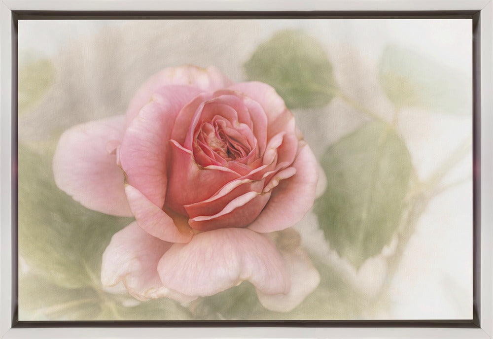 smooth rose Wall Artwork In Black Floating Frame