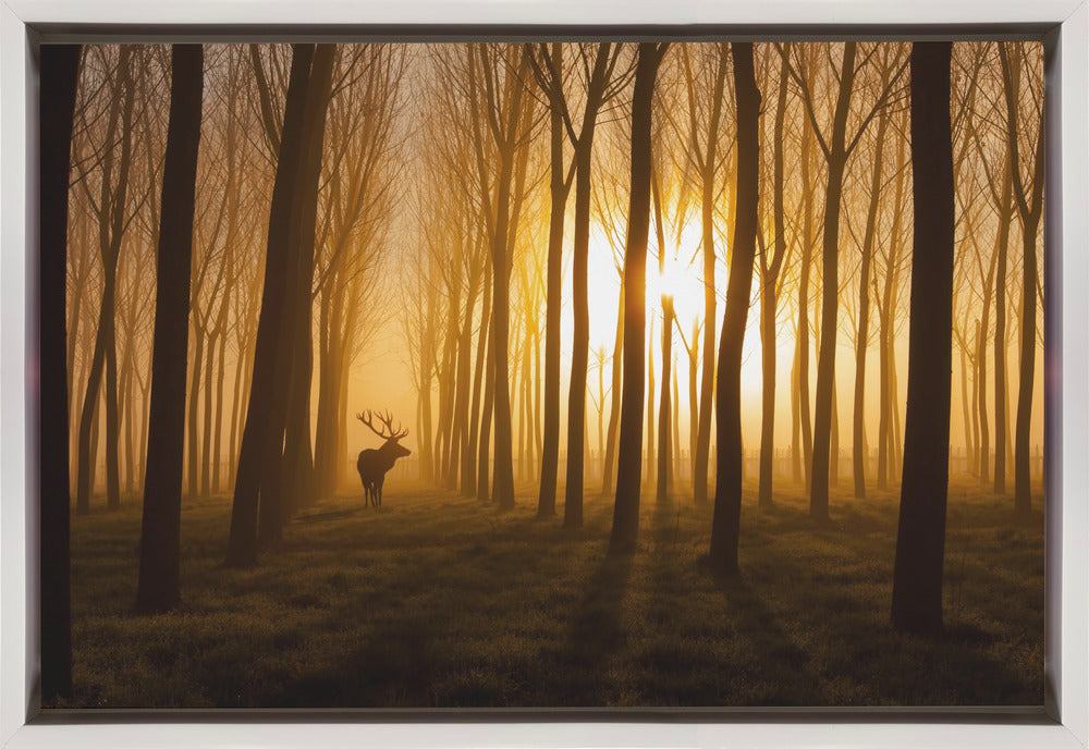 Once Upon a Time Wall Artwork In Black Floating Frame