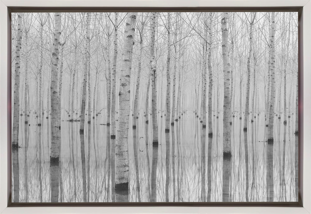 Novembre 2014 Wall Artwork In Black Floating Frame