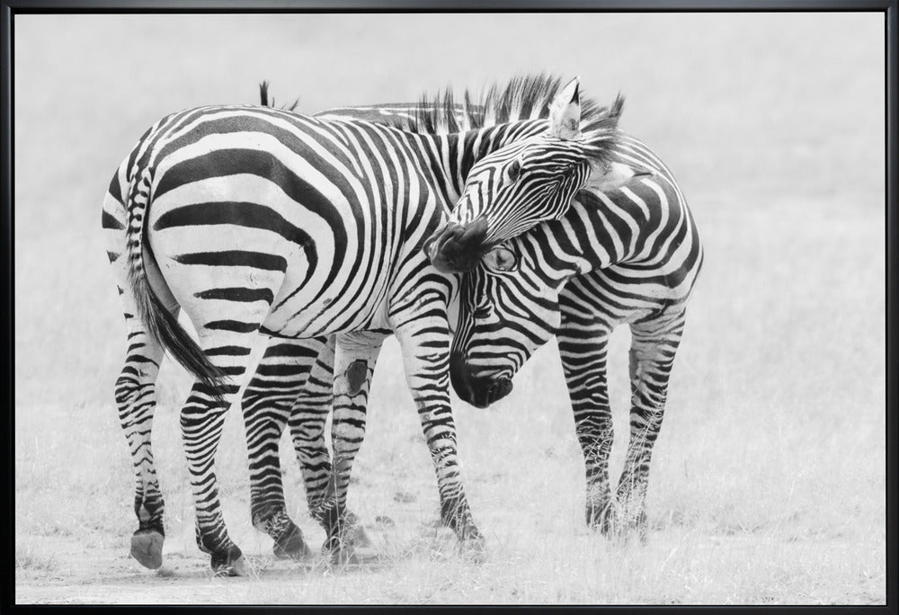 Wall art Tender Moment