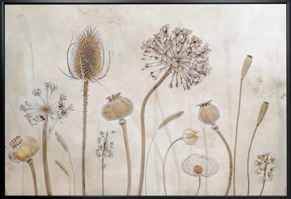 Growing old Wall Artwork Gallery Wrapped (Ready to Hang)