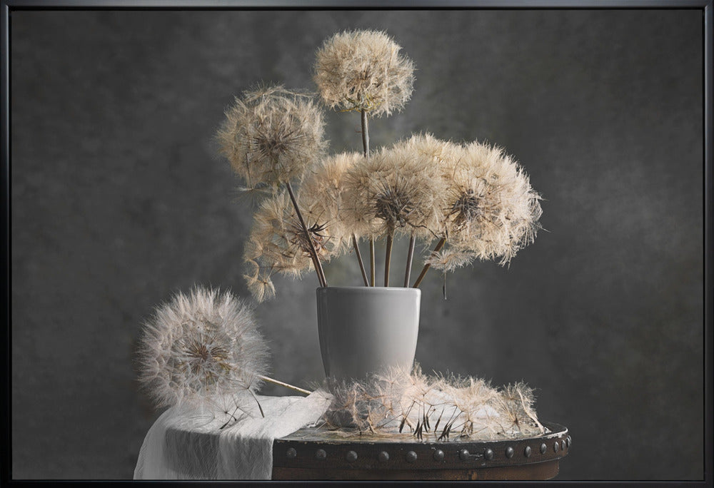 Dandelion Seed Pod Wall Artwork In White Floating Frame