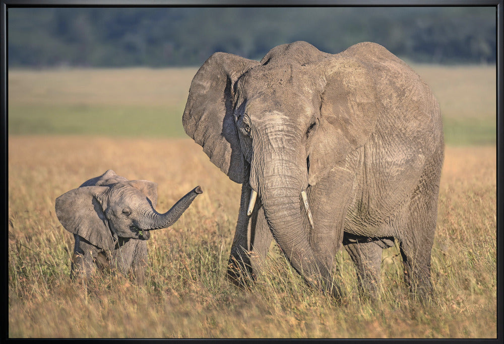 Wall art Mom elephant with calf