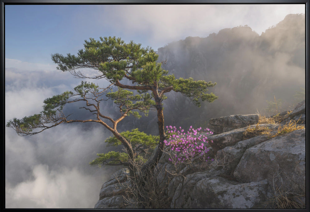 Wall art Dream dancer Canvas Print