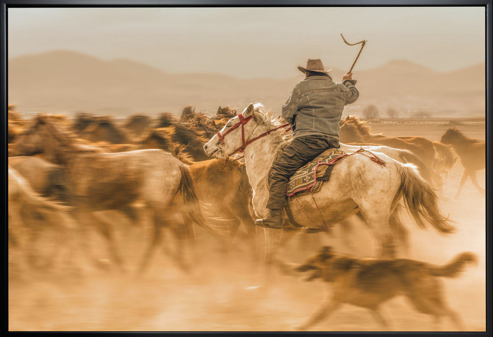 Wall art Wild horses (aka Yılkı Atları)