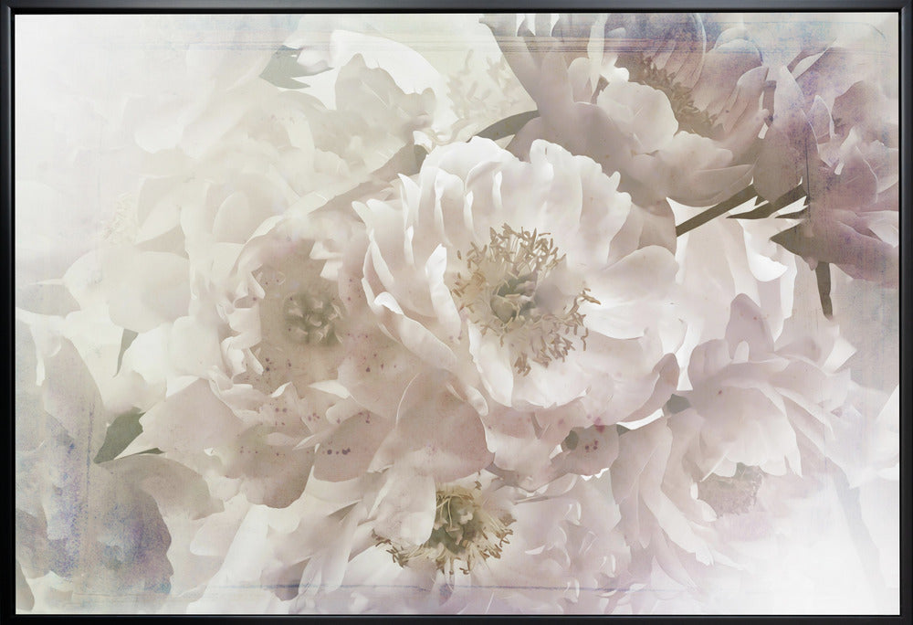 Ombre033flower Wall Artwork In Black Floating Frame