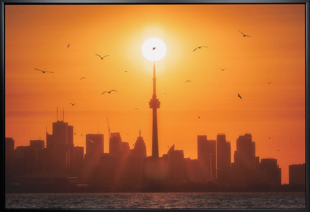 Wall art Sun Rising Behind Toronto Canvas Print