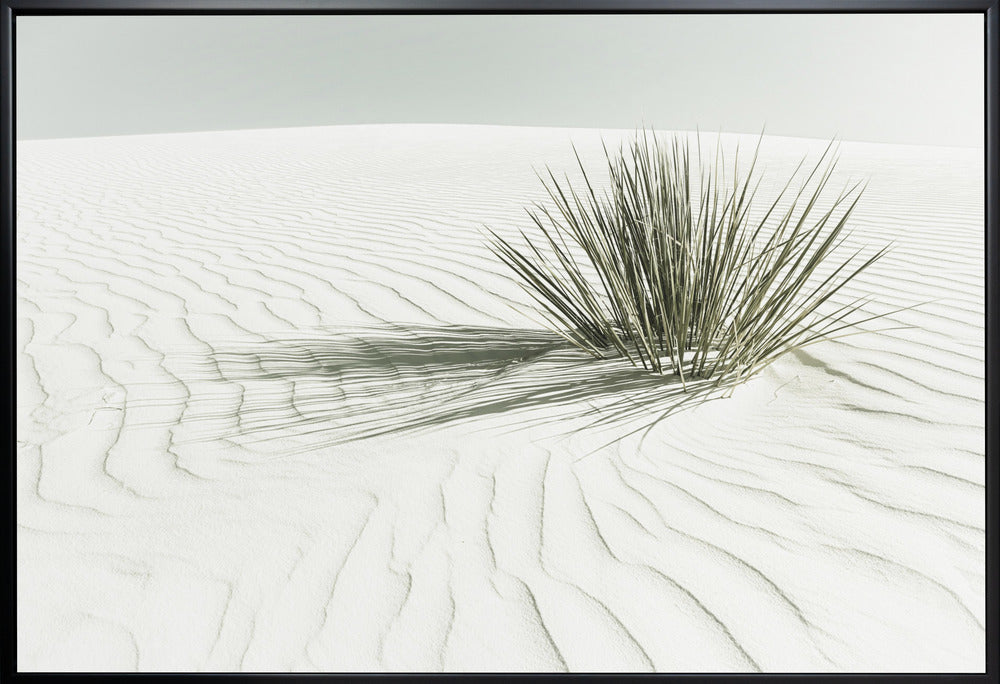 Landscape Photography Canvas Print-wall-art-white-sands-vintage-dune-48X36