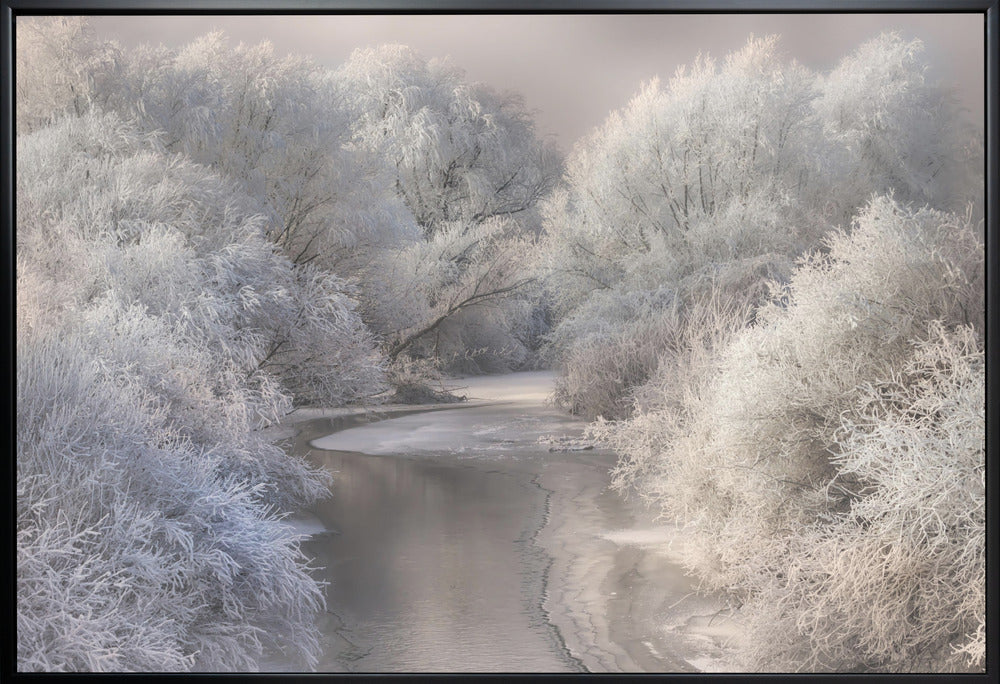 Wall art Winter Song Canvas Print