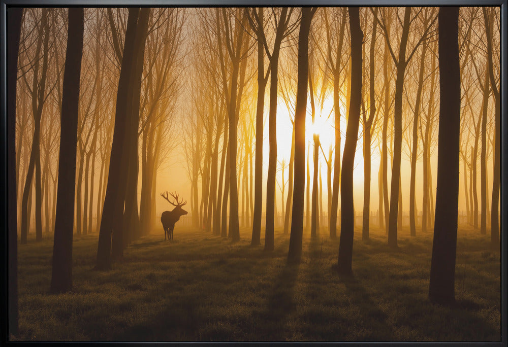 Once Upon a Time Wall Artwork Gallery Wrapped (Ready to Hang)