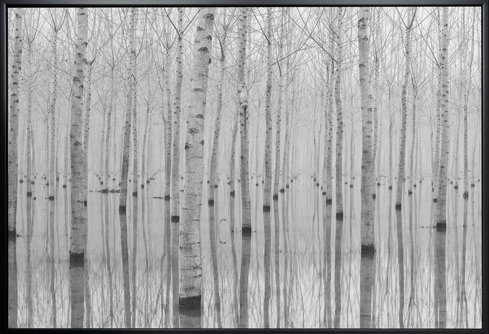 Novembre 2014 Wall Artwork Gallery Wrapped (Ready to Hang)