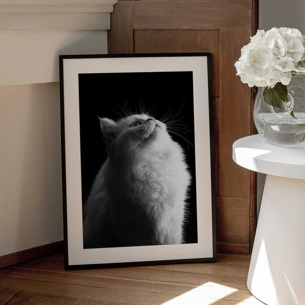 Wall art White in Black