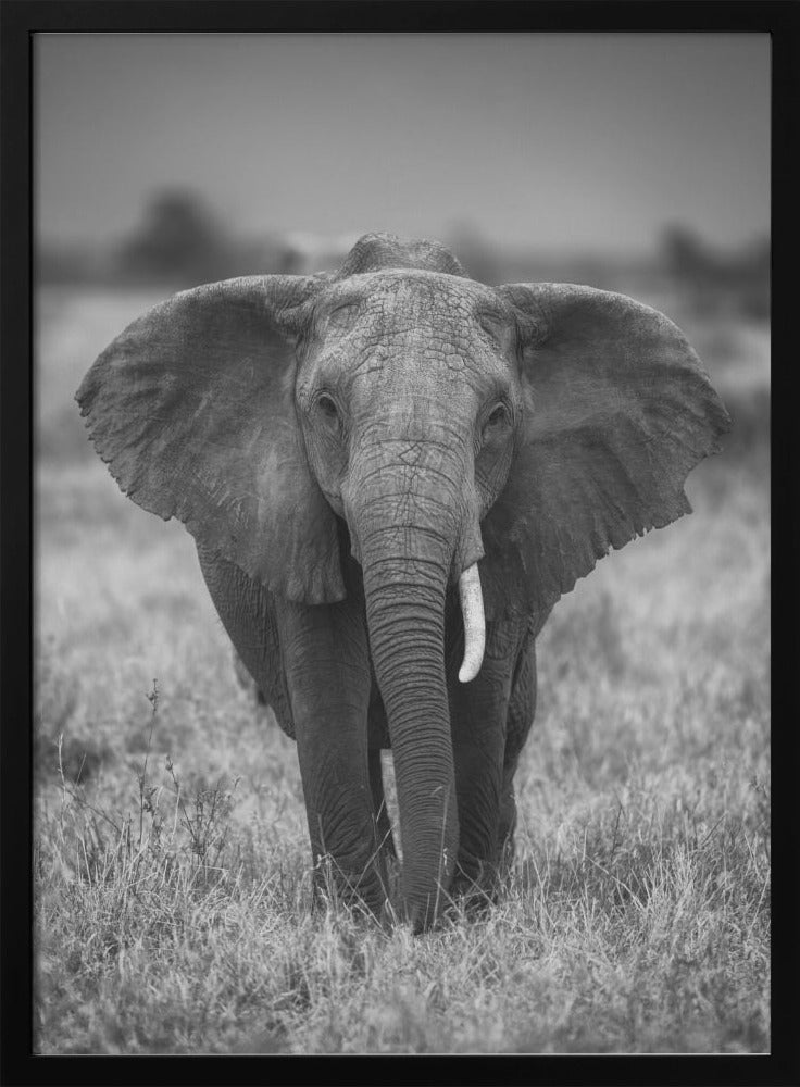 SINGULARITY Wall Artwork Gallery Wrapped (Ready to Hang)