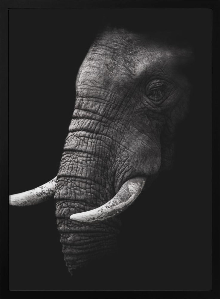 Portrait Wall Artwork Gallery Wrapped (Ready to Hang)