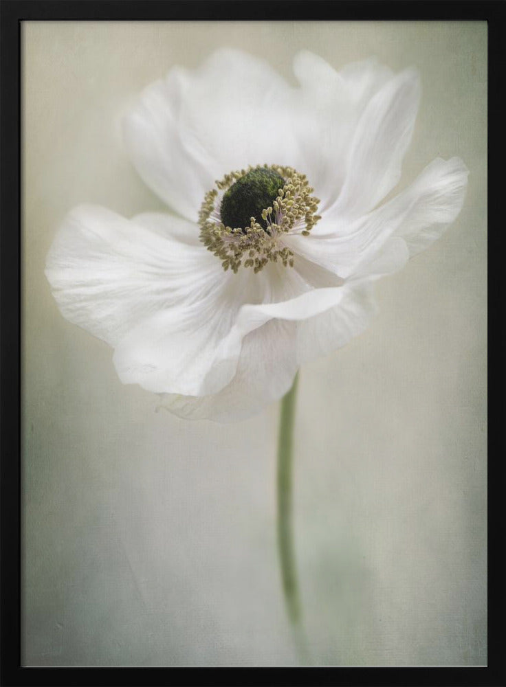 Single White Wall Artwork Gallery Wrapped (Ready to Hang)