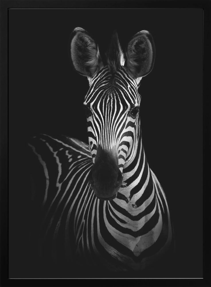 The Zebra Wall Artwork Gallery Wrapped (Ready to Hang)
