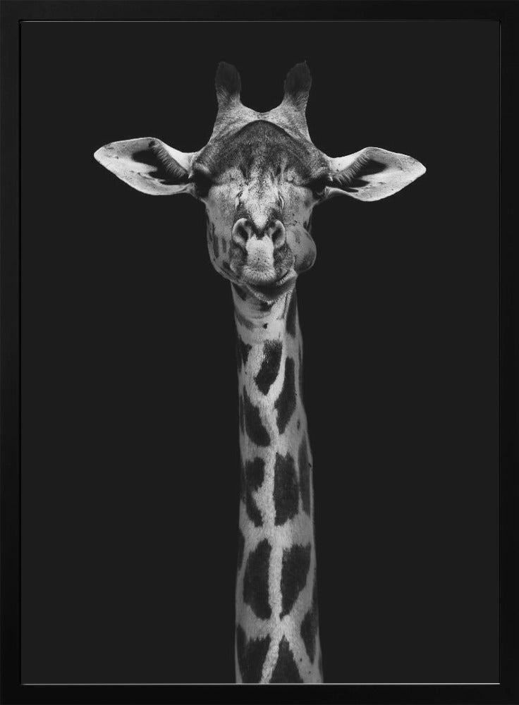 Giraffe Portrait Wall Artwork Gallery Wrapped (Ready to Hang)