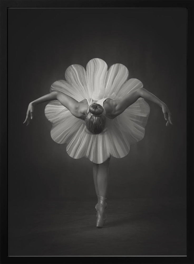 Floral Ballet Wall Artwork In White Floating Frame