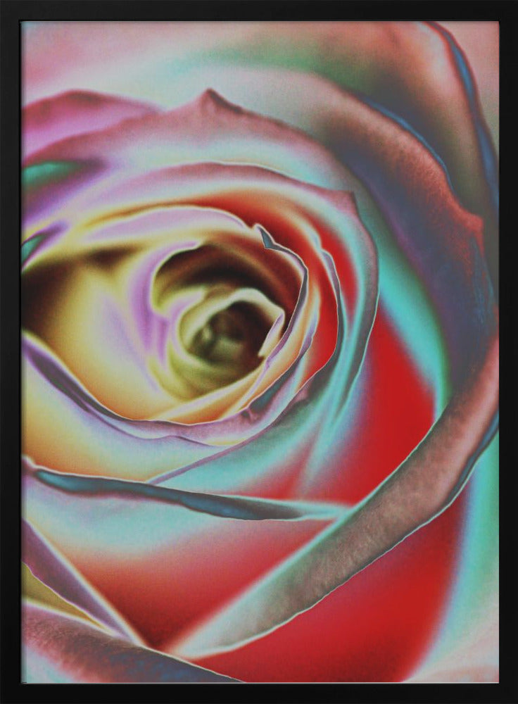 Rose Wall Artwork Gallery Wrapped (Ready to Hang)