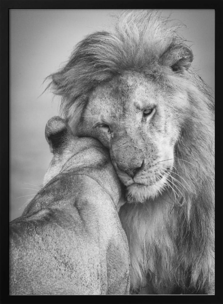 Wall art African Love! Canvas Print