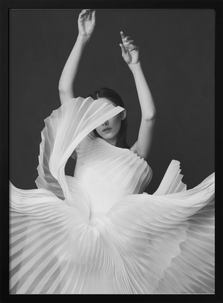 Amadeus Wall Artwork Gallery Wrapped (Ready to Hang)