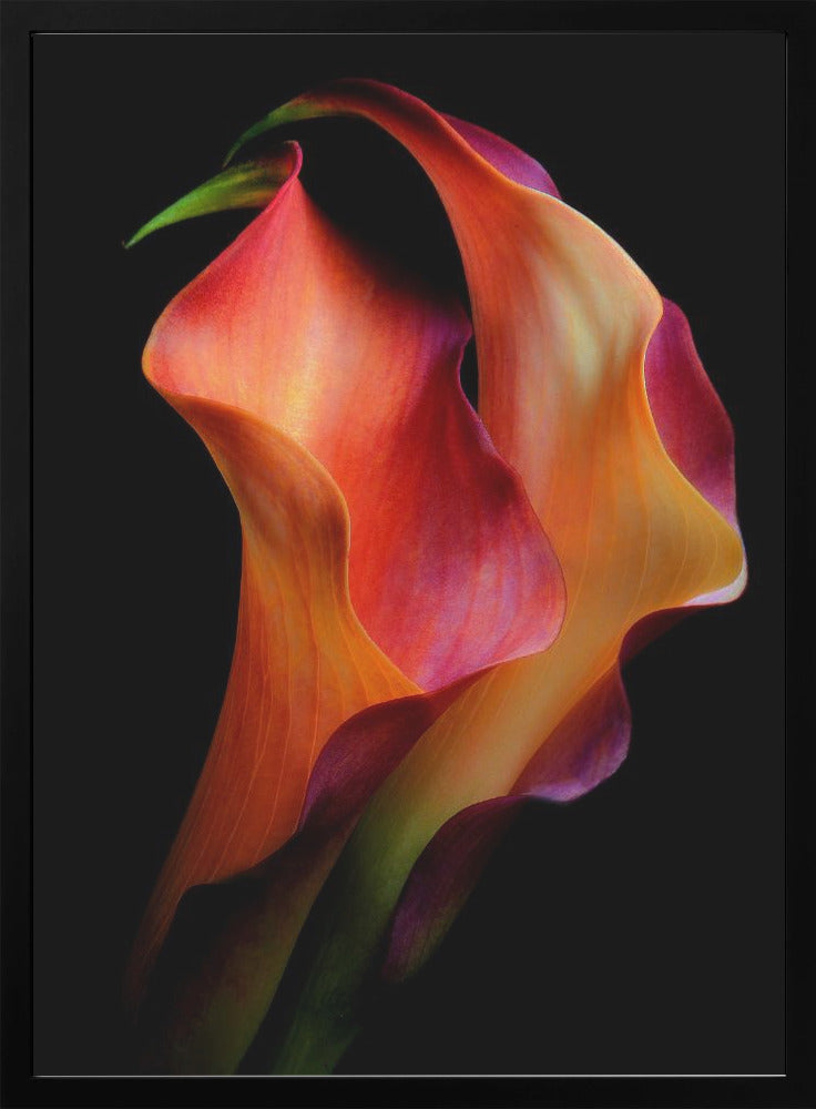 Tenderness Wall Artwork In White Floating Frame