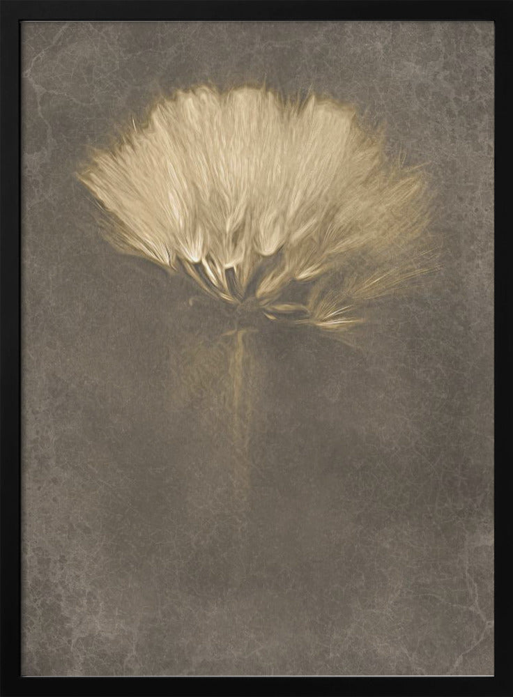 Mysterious Days Wall Artwork Gallery Wrapped (Ready to Hang)