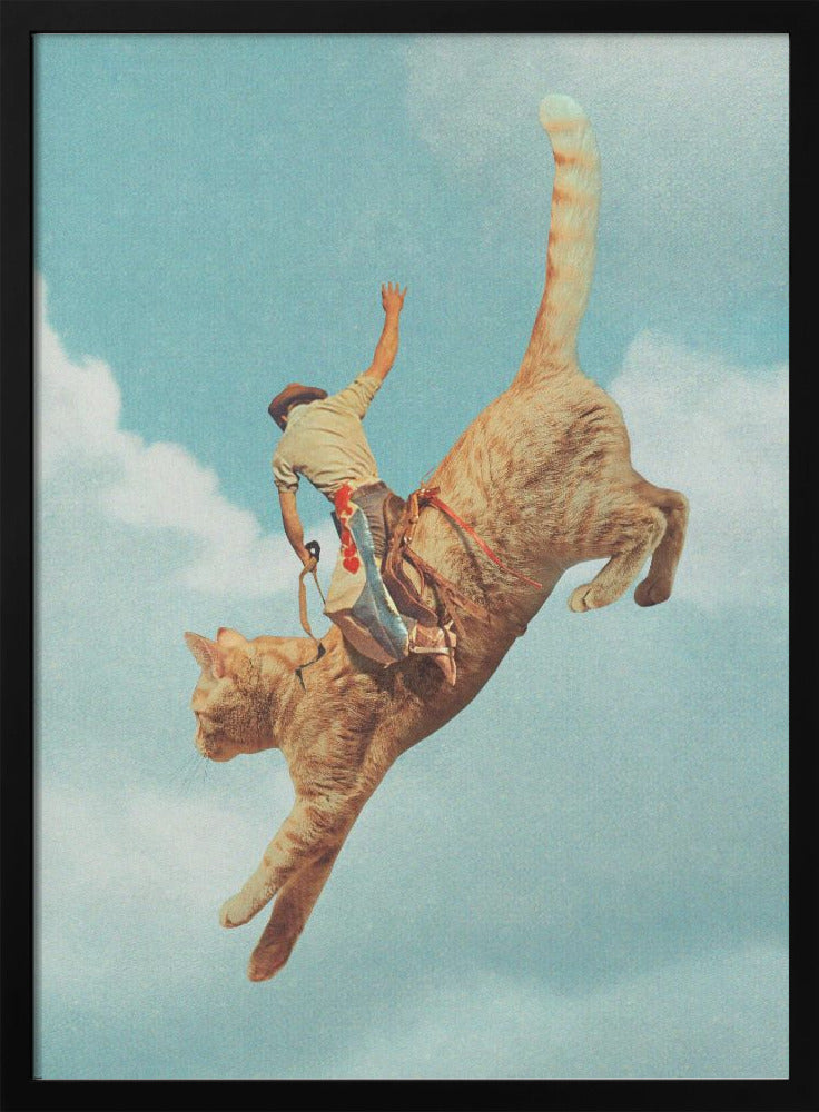 Meehaw Rodio Cat Wall Artwork In Black Floating Frame