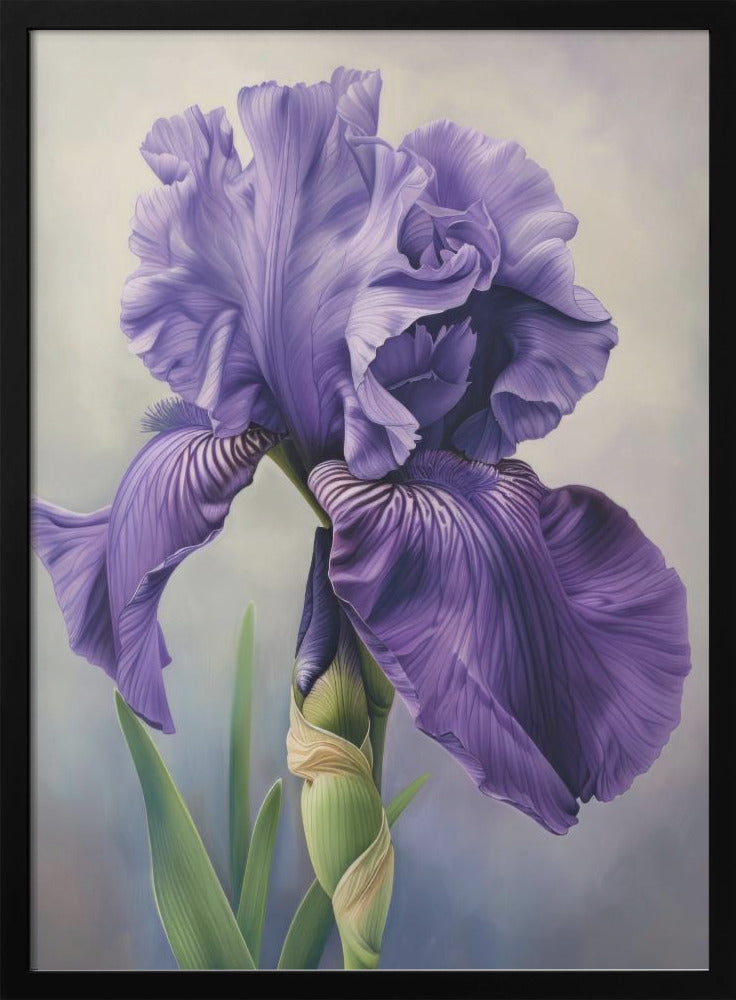 Wall art Iris Fl 102 36X48inch In Black Floating Frame