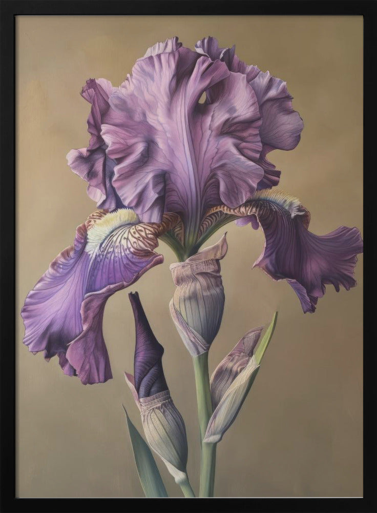 Wall art Iris Fl 103 36X48inch In Black Floating Frame