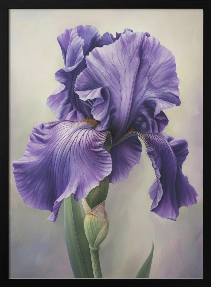 Wall art Iris Fl 115 36X48inch In Black Floating Frame