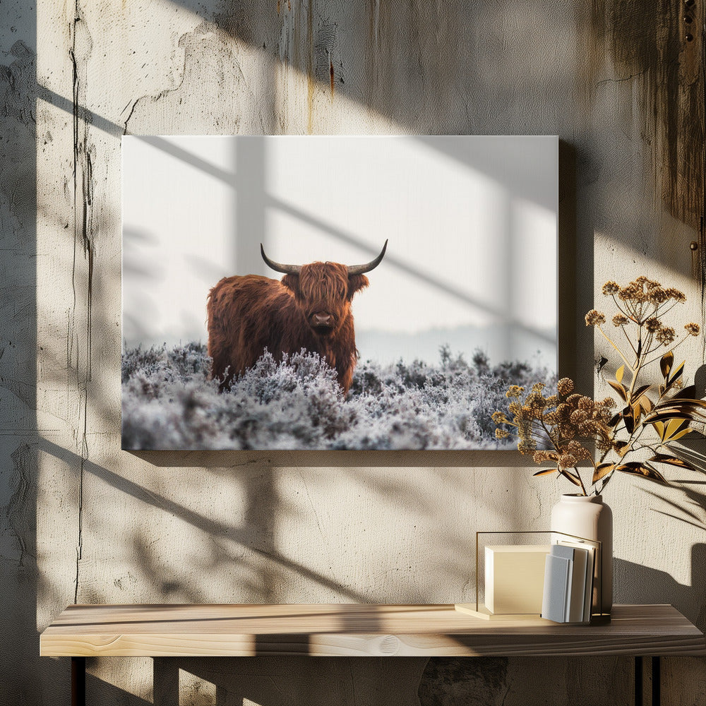 Highlander Wall Artwork In White Floating Frame