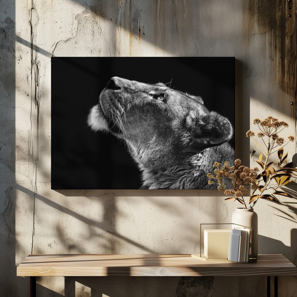 Looking Up Wall Artwork In White Floating Frame