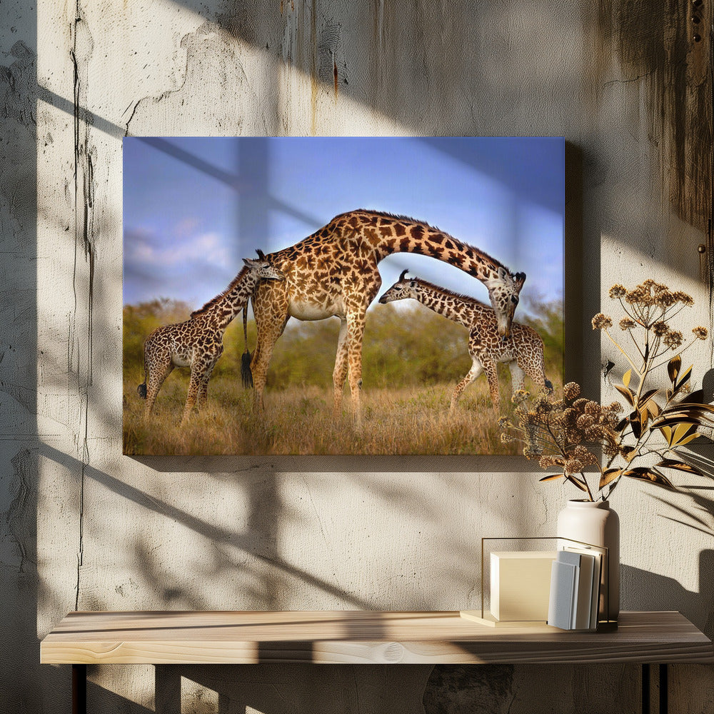 Wall art Giraffe with cubs