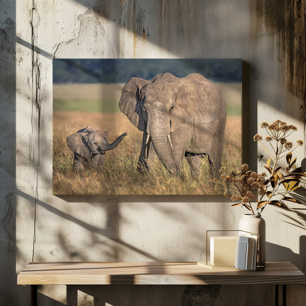 Wall art Mom elephant with calf