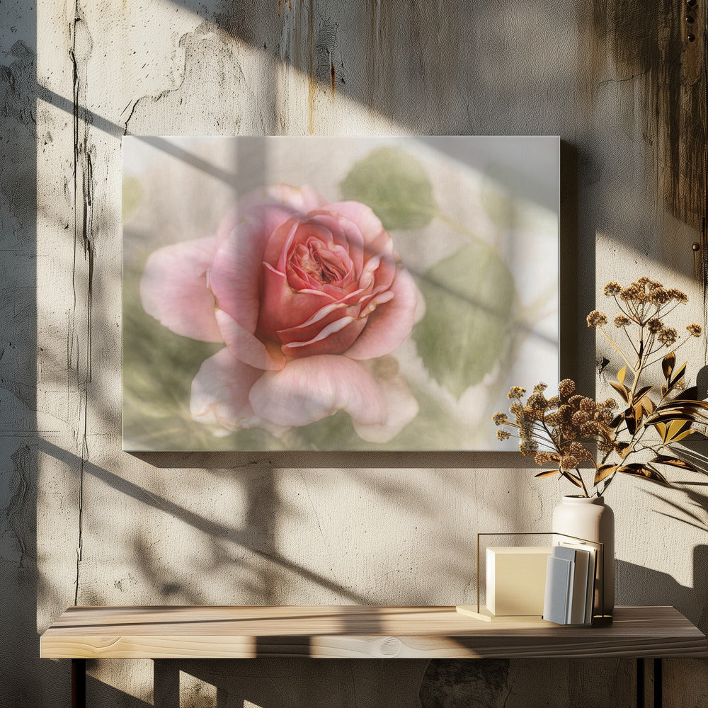 smooth rose Wall Artwork In White Floating Frame