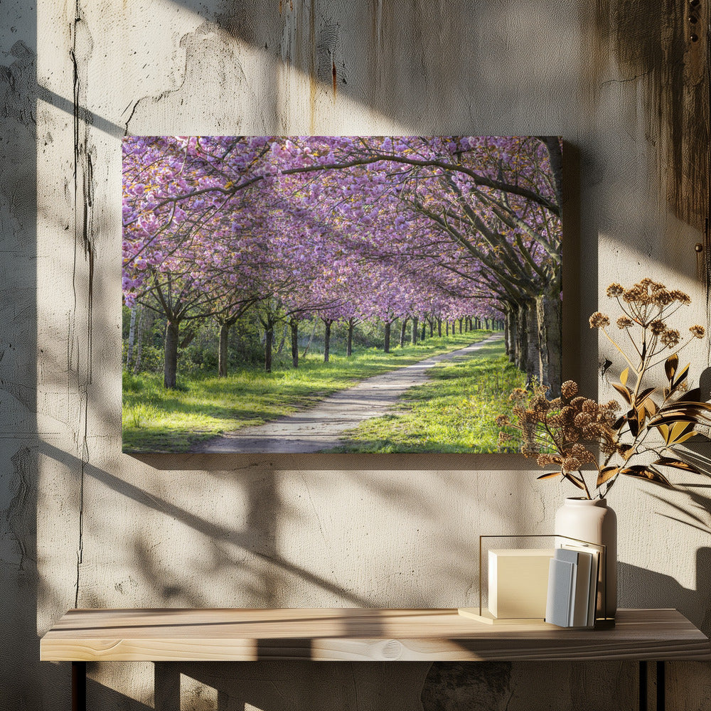 Landscape Photography Canvas Print-wall-art-idyllic-cherry-blossom-alley-36X24inches