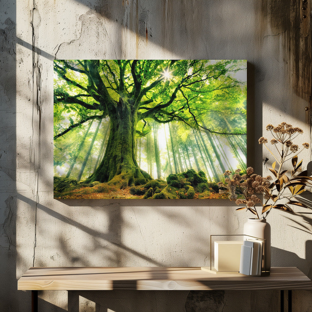 Ponthus' Beech Wall Artwork In White Floating Frame