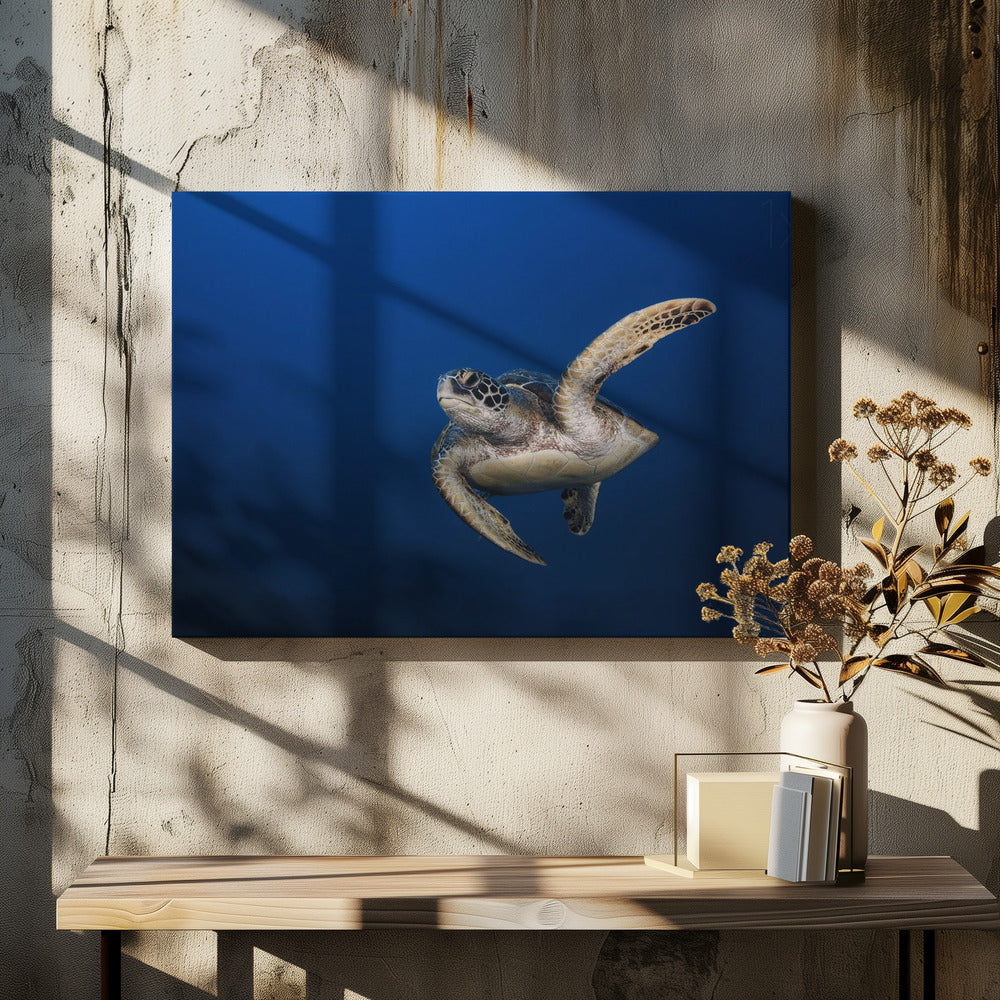 Wall art Green Turtle