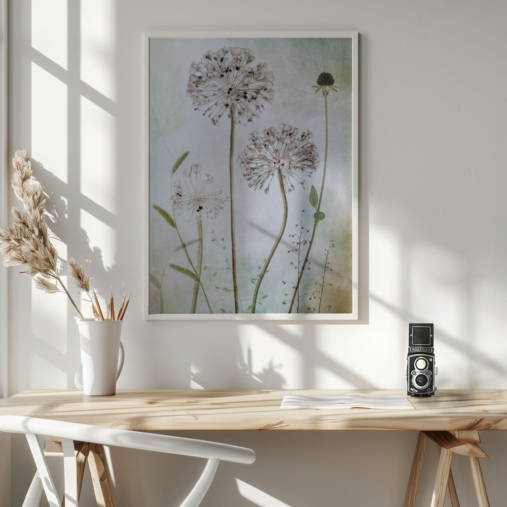Allium Wall Artwork In White Floating Frame