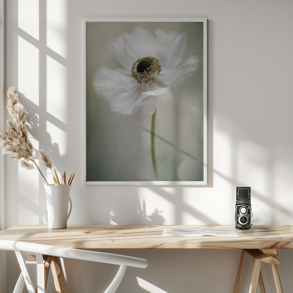 Single White Wall Artwork In White Floating Frame