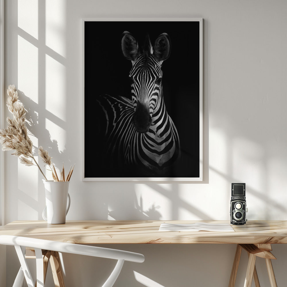 The Zebra Wall Artwork In White Floating Frame