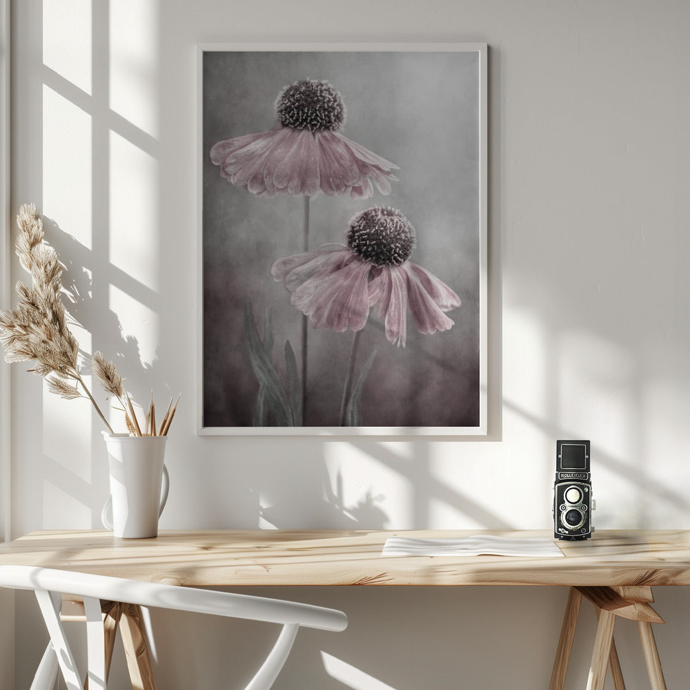 Duet Wall Artwork In White Floating Frame