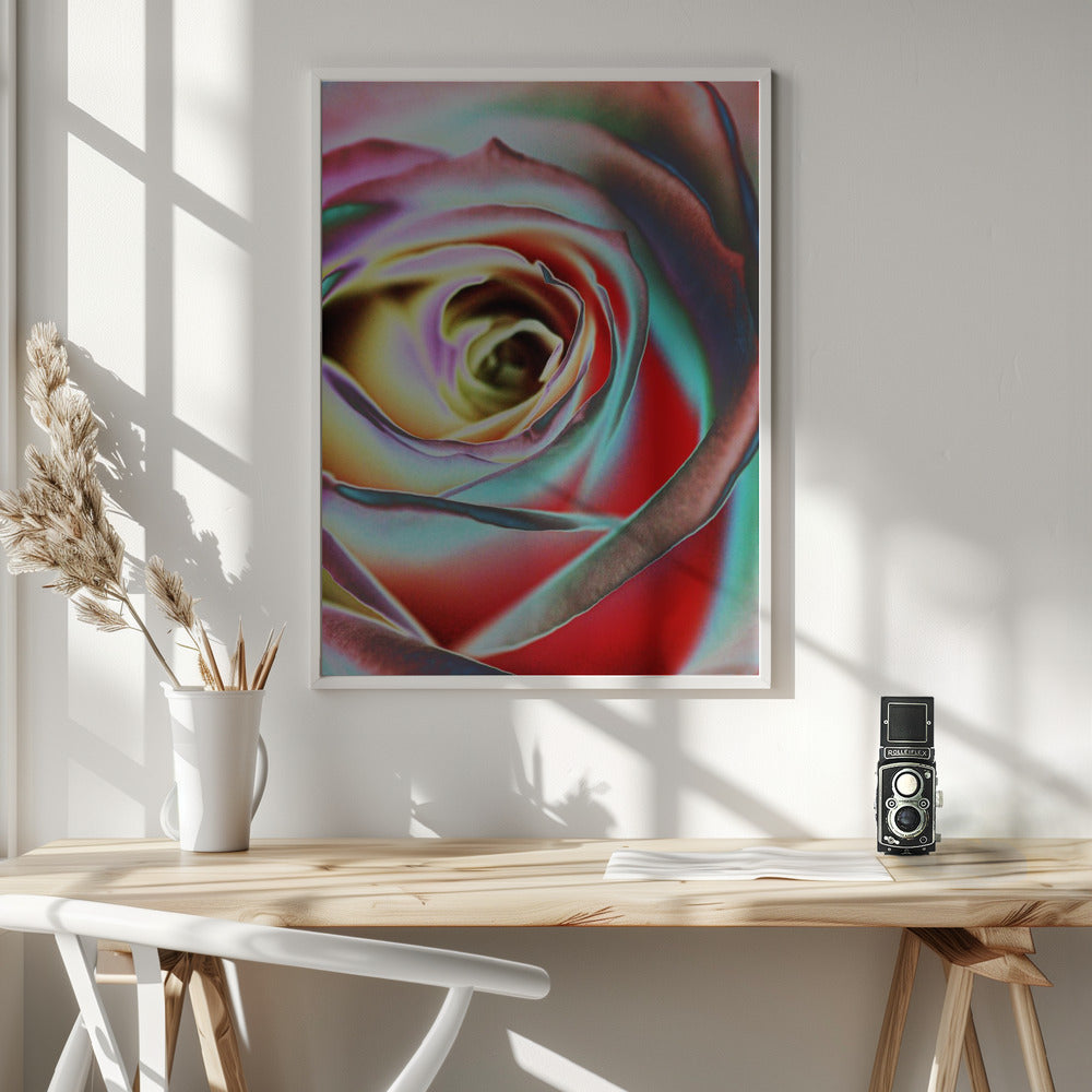 Rose Wall Artwork In White Floating Frame