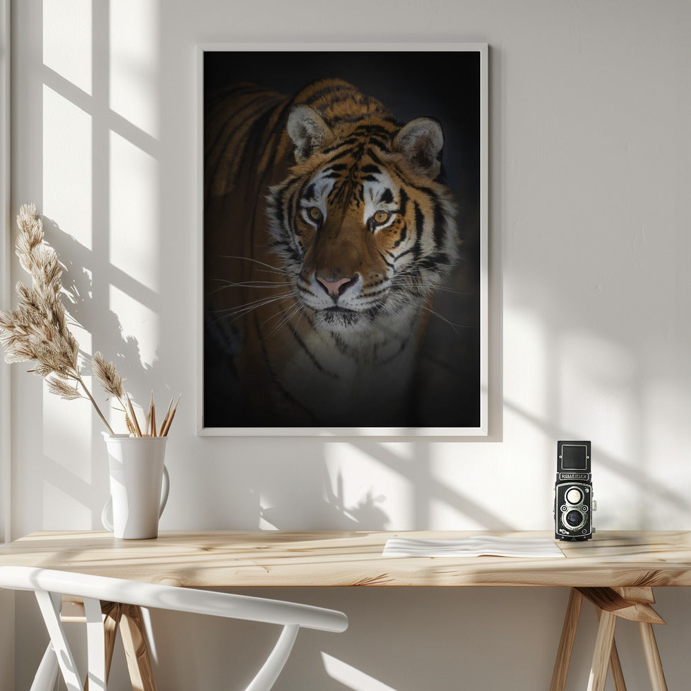 Wall art Portrait of a Siberian Tiger 36X48inch Gallery Wrapped (Ready to Hang)
