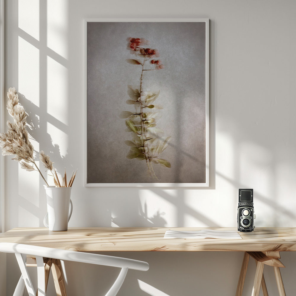 Exposed Wall Artwork In White Floating Frame