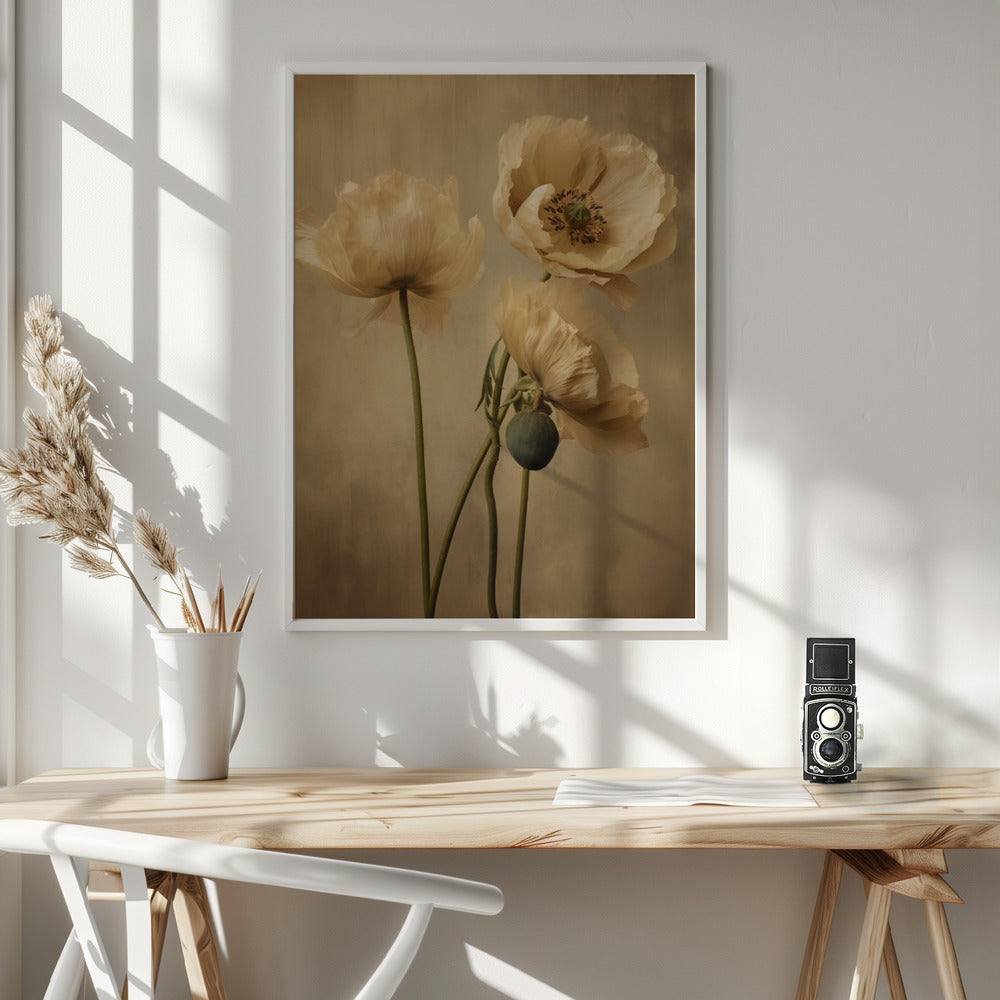 Poppies 24 Wall Artwork In White Floating Frame